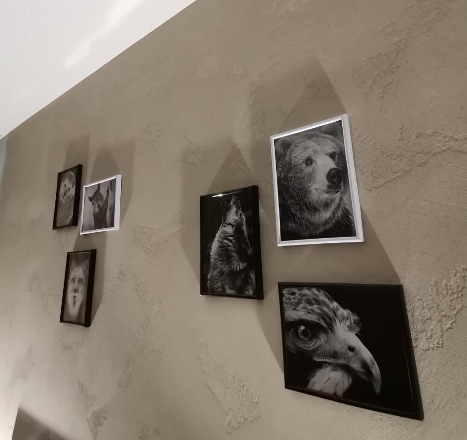 Studio A3 Borovets Gardens Esterno foto